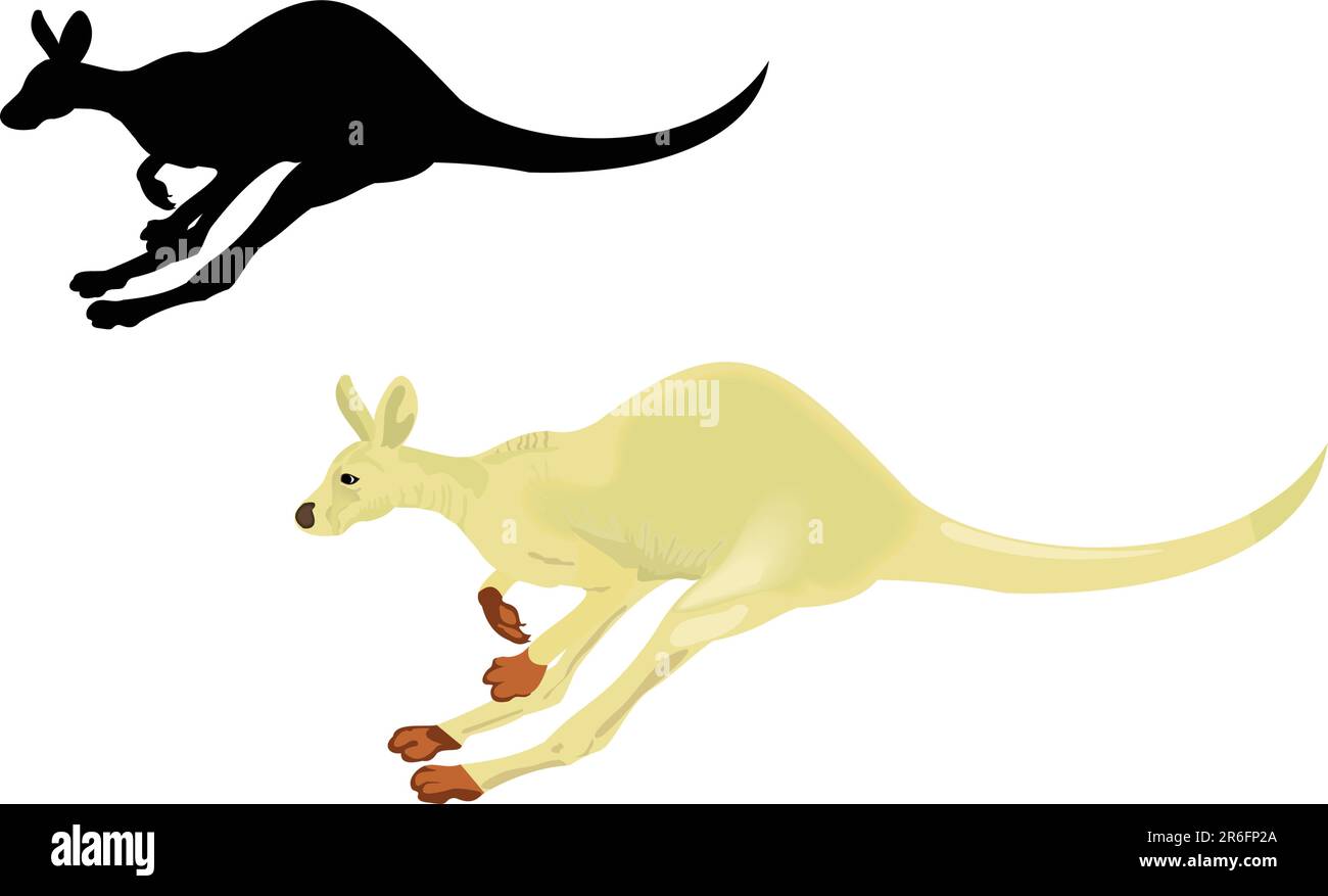 Running kangaroo isolated on a white background. Vector Stock Vector
