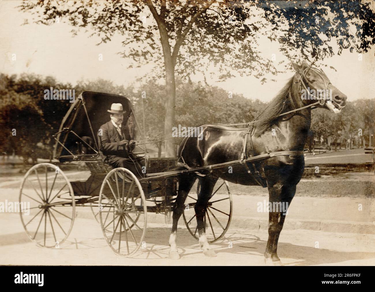 Horse and Carriage early 1900s Stock Photo