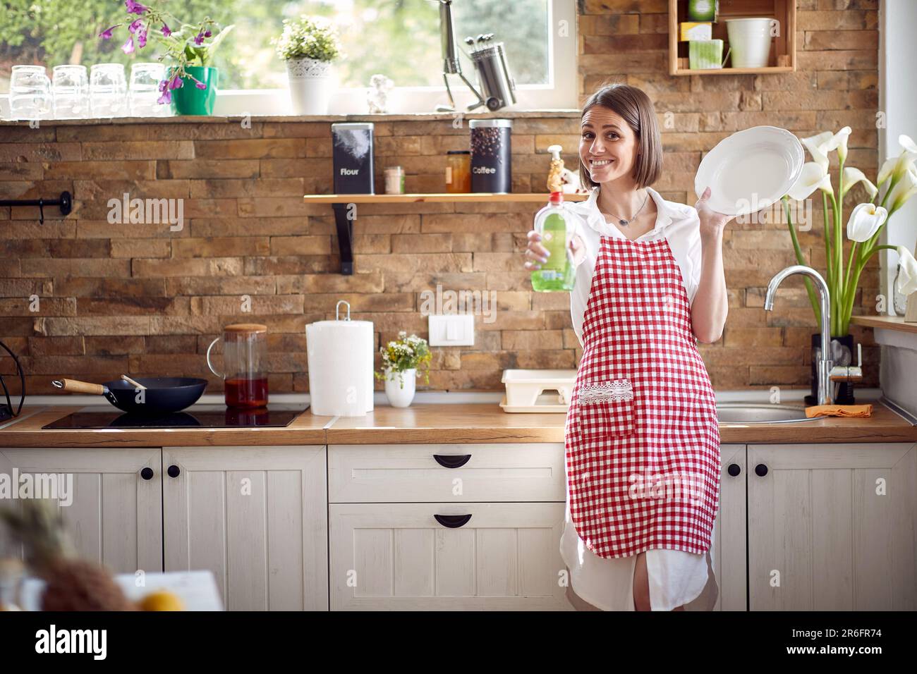 https://c8.alamy.com/comp/2R6FR74/attractive-young-housewife-wearing-checkered-apron-standing-in-the-kitchen-holding-a-clean-plate-and-demonstrating-favourite-dishwashing-detergent-and-2R6FR74.jpg