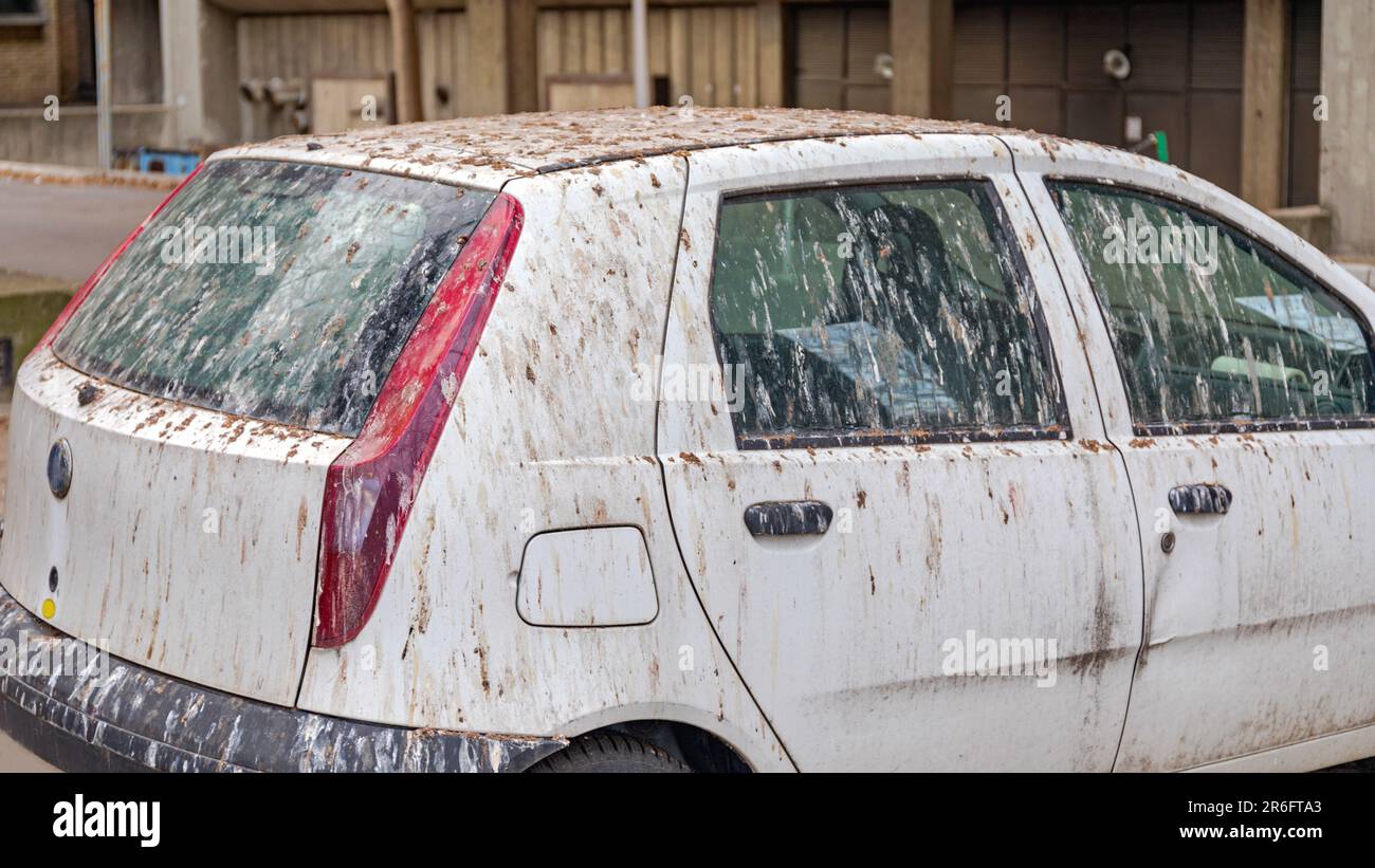 Birds Poop Droppings at Damaged Car Parked Under Tree Stock Photo Alamy