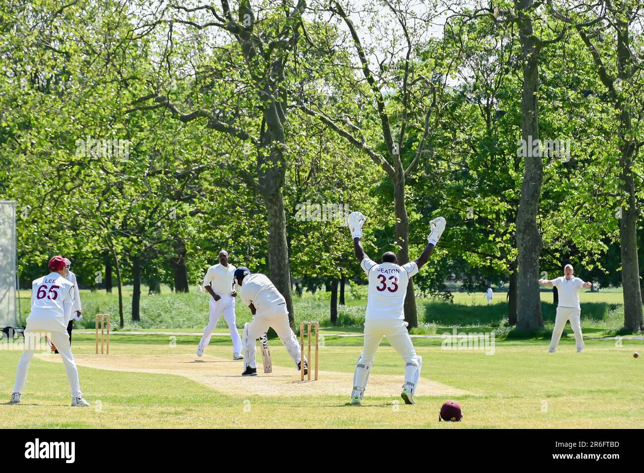 Cricket Batting Bowler Action Cricket game in London park game batsman bowler action photo Stock
