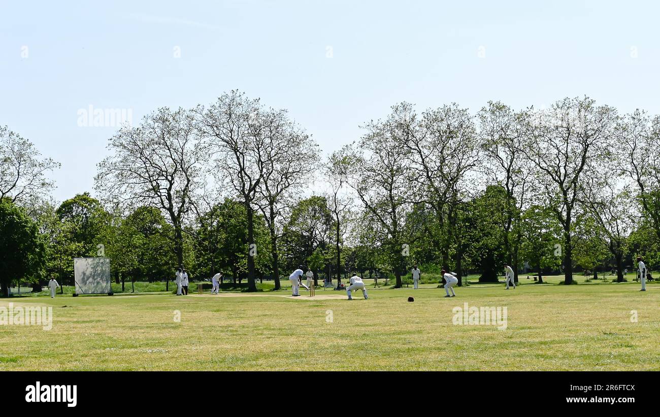 Cricket Batting Bowler Action Cricket game in London park game batsman