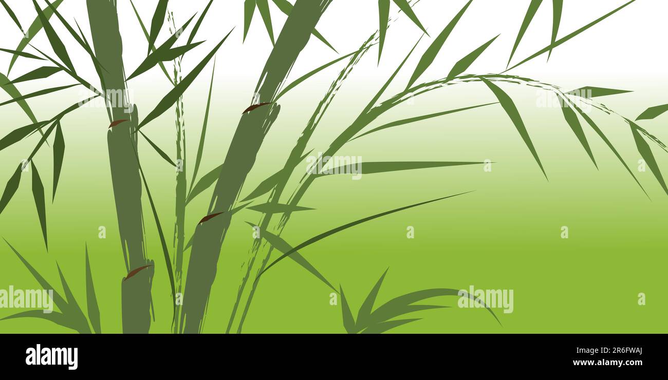 design of chinese bamboo trees, vector illustration Stock Vector Image ...