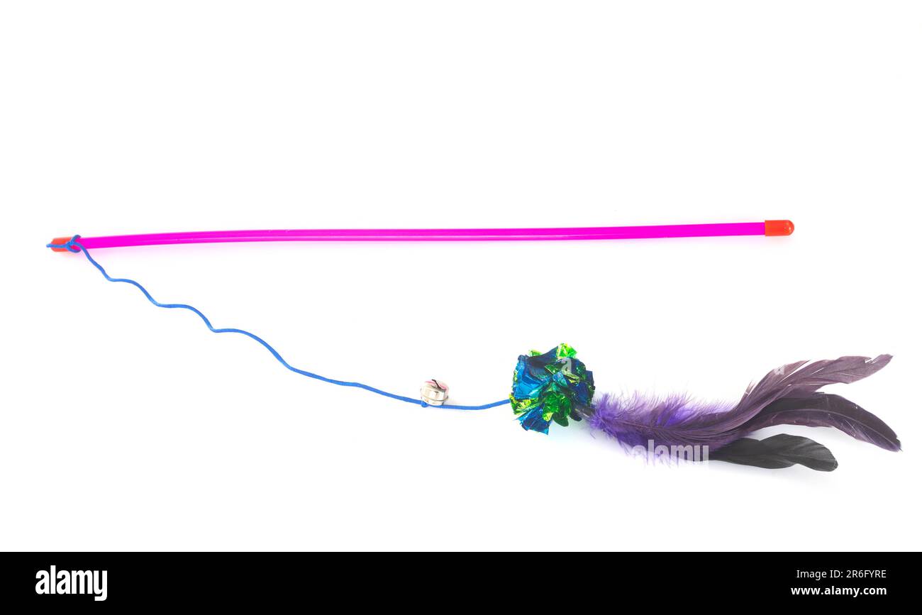 Feathered Pole Cat Toy Stock Photo Alamy