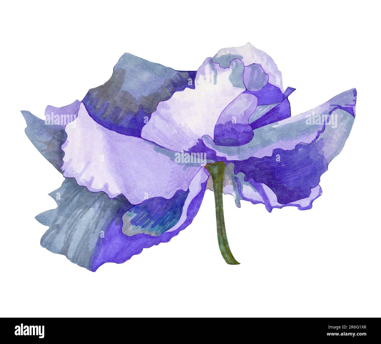 Wavy violet flower. The drawing is made with markers on paper. Flower collection. Stock Photo