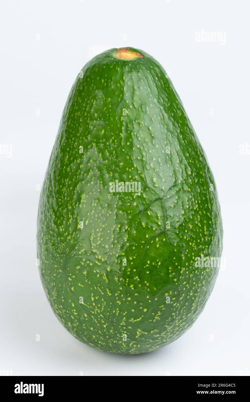 One green fresh avocado fruit vegetable isolated on white studio background Stock Photo