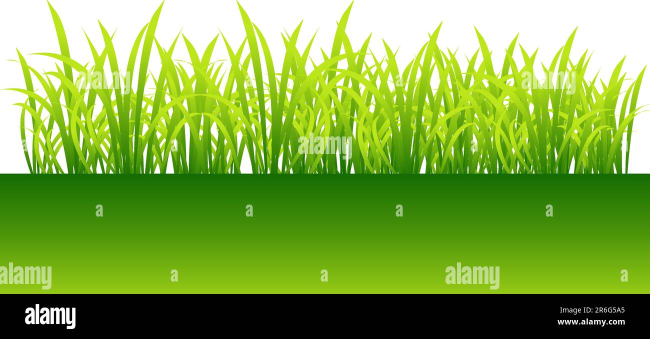 Spring, green grass for your design Stock Vector Image & Art - Alamy