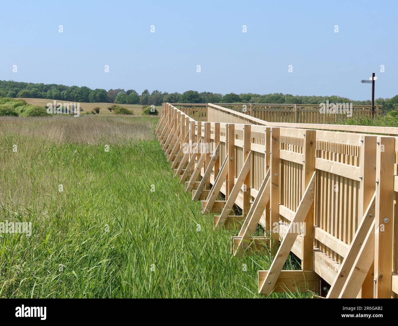 Saxmundham, Suffolk 9 June 2023 Minsmere nature reserve under