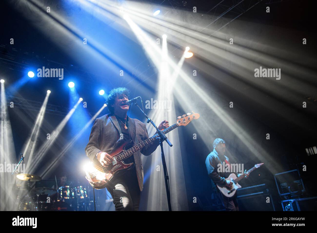 The chameleons band hi-res stock photography and images - Alamy