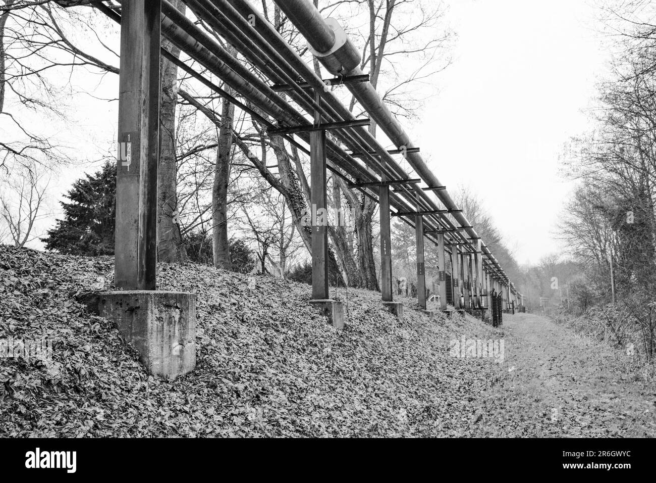 An industrial landscape of pipelines snaking through a lush, green