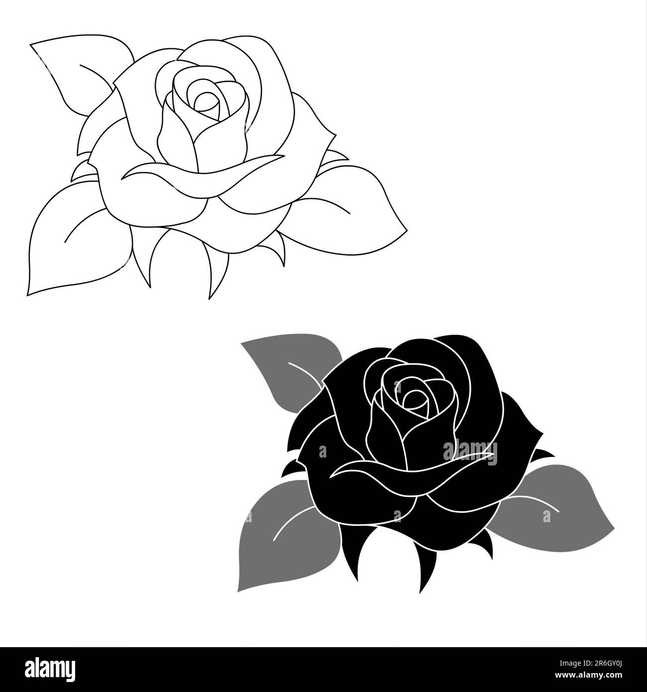 Black and white roses isolated on a white background Stock Photo