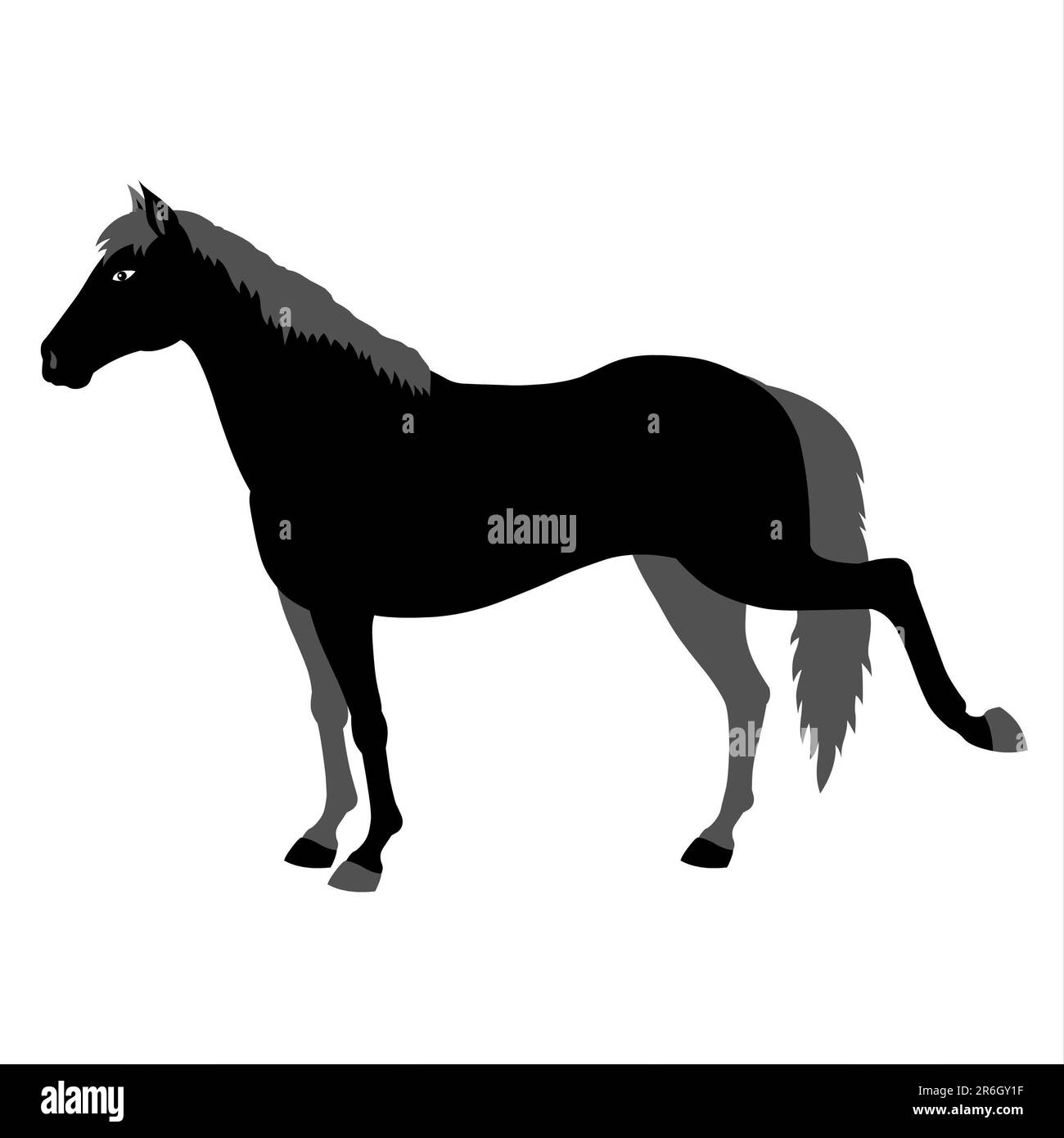 Horse silhouette on white background Stock Photo