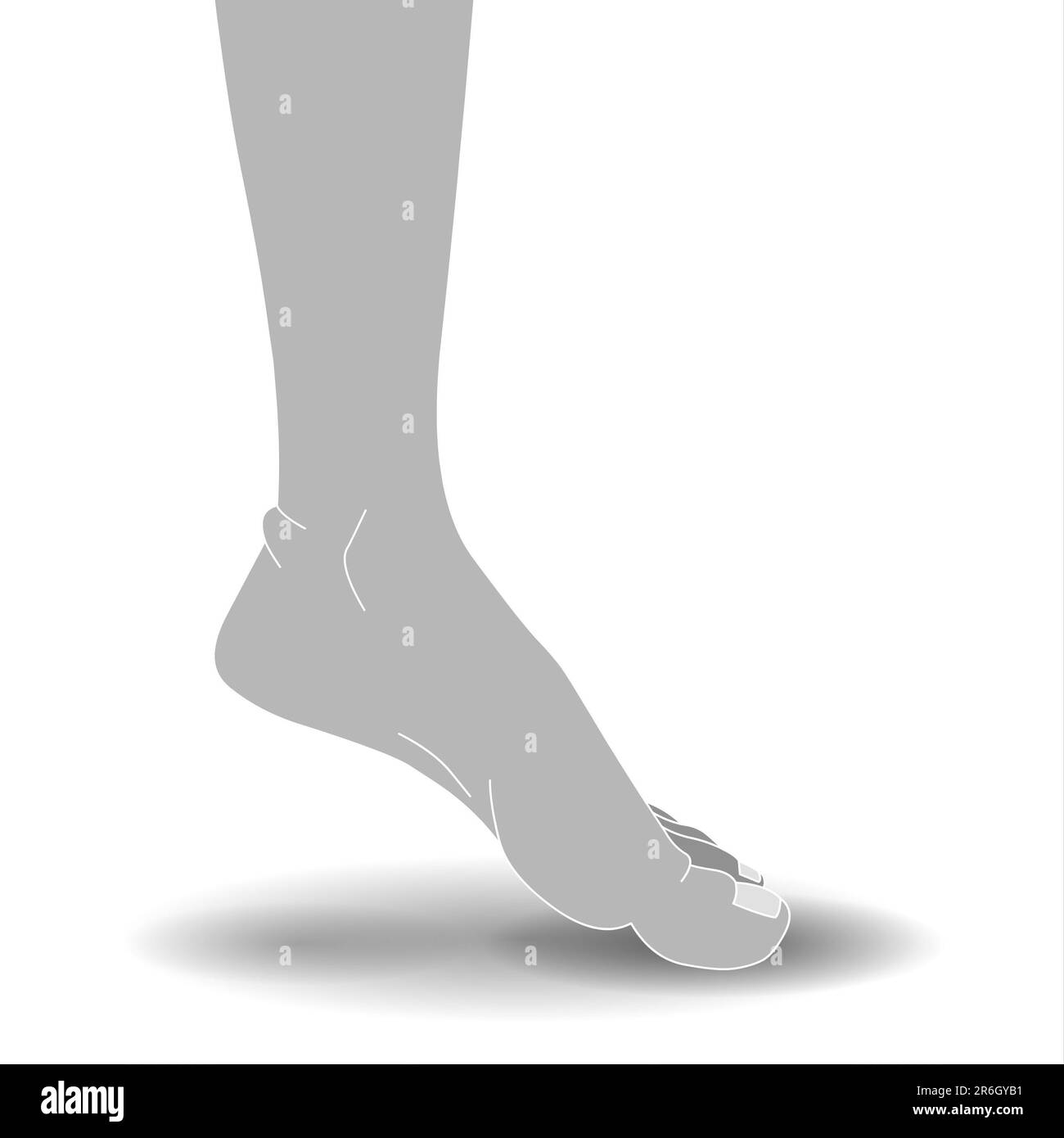Foot of a man on a white background. Vector illustration Stock Photo