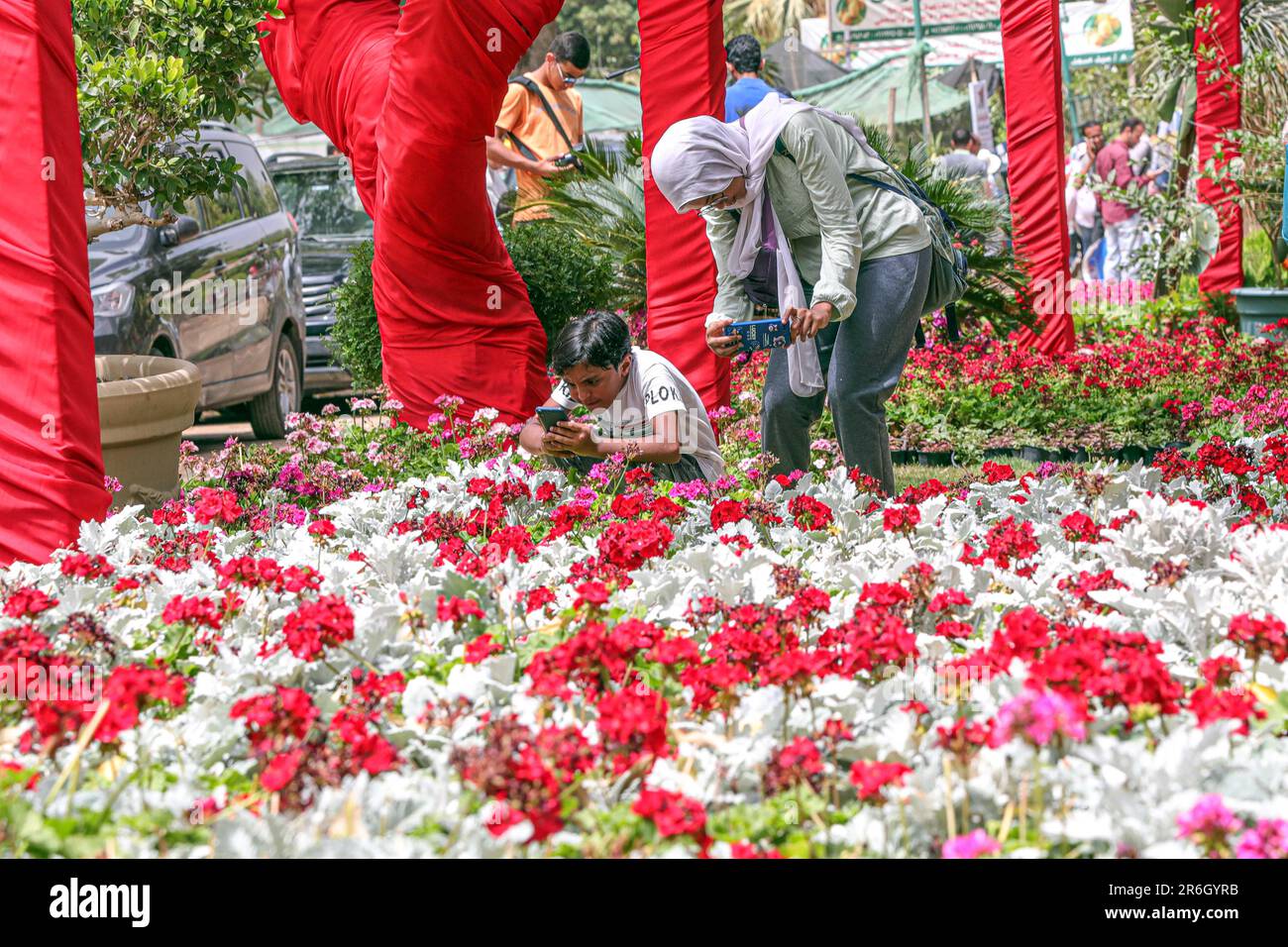 Cairo, Egypt. 3rd June, 2023. People take photos of flowers at the