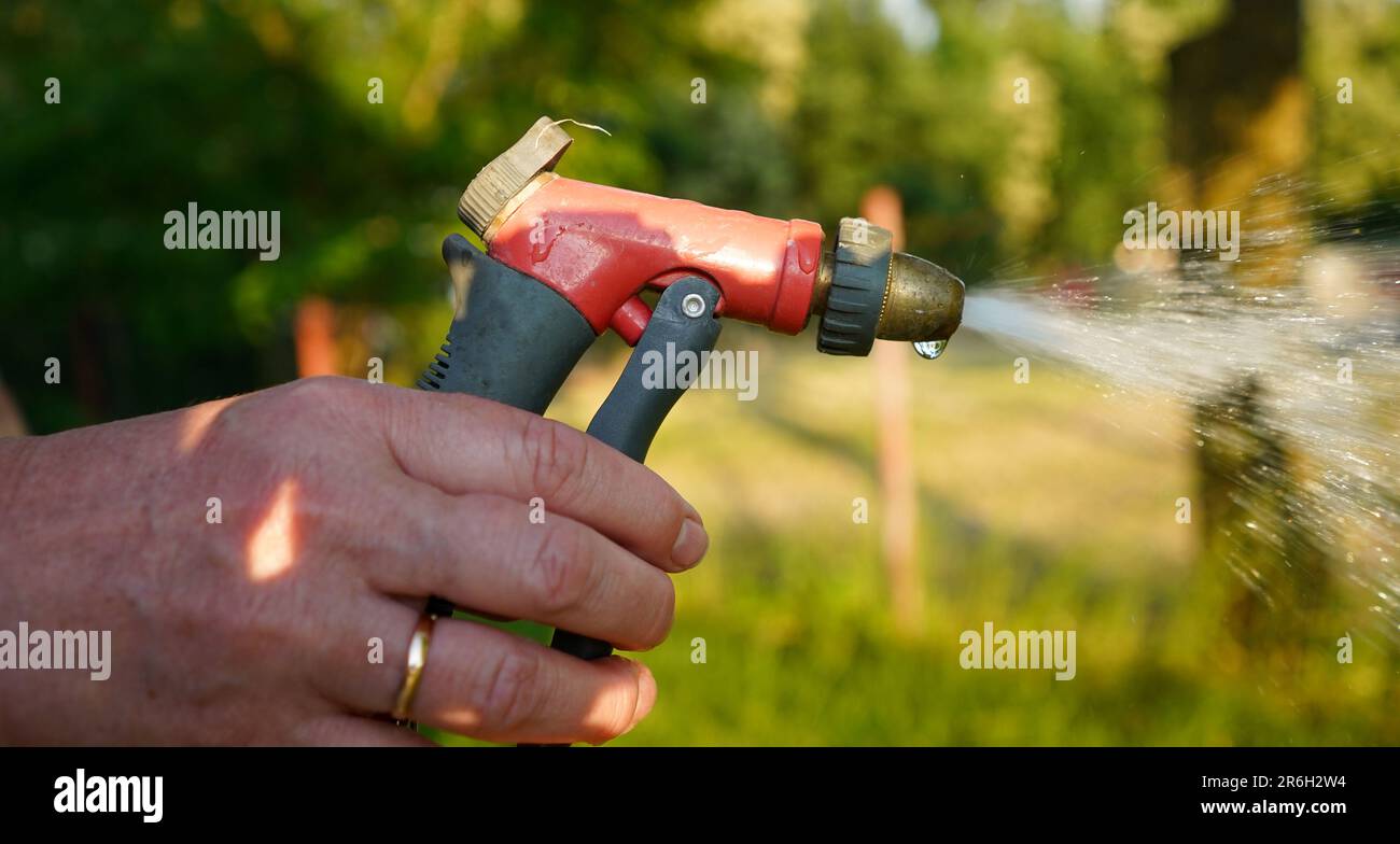 Person holding hose spray gun. Spraying water. Watering the plants in