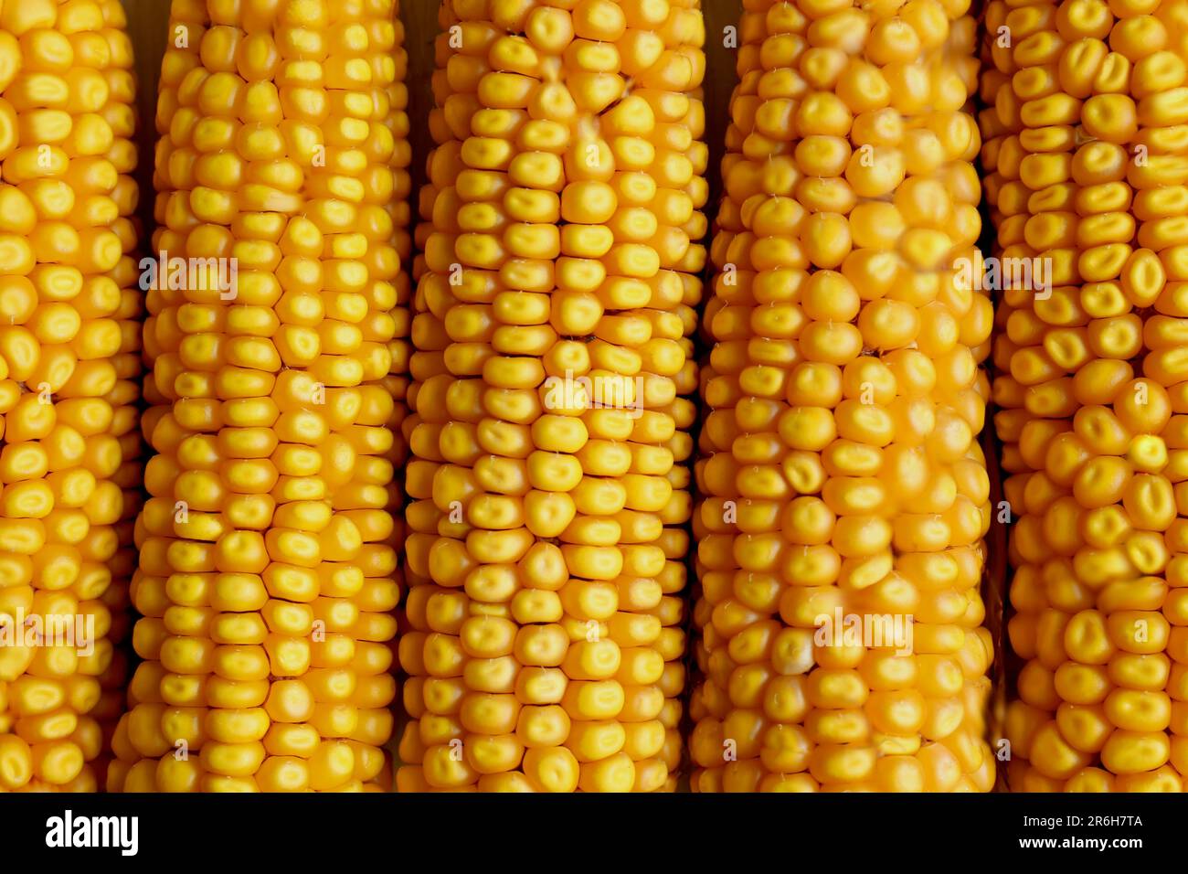 Corn Tops Ripe Delicious ripe corn cobs as background, top view Stock Photo - Alamy