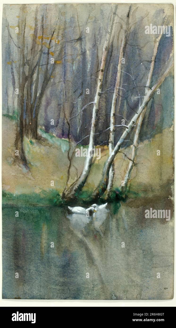 Untitled (Wood Scene with Birch Trees and Ducks). Date: n.d. Watercolor on paper. Museum: Smithsonian American Art Museum. Stock Photo
