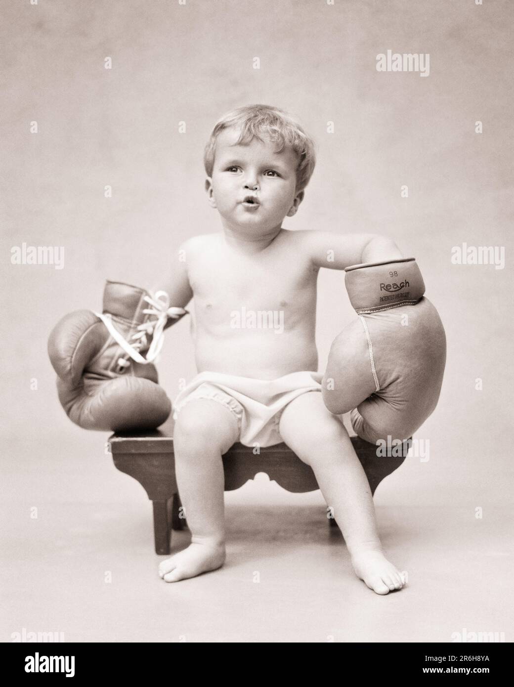 1930s CUTE CHARMING BLONDE TODDLER BOY WEARING UNDER PANTS AND TOO BIG ADULT SIZED BOXING GLOVES SITTING ON A BENCH - b10413 HAR001 HARS ATHLETE LIFESTYLE TOO WINNING STUDIO SHOT HOME LIFE COPY SPACE FULL-LENGTH CHARACTER MALES ATHLETIC B&W EYE CONTACT HUMOROUS FIGHTER ADVENTURE AND COMICAL OCCUPATIONS CONCEPTUAL COMEDY BABY ACTORS BABY BOY PLEASANT AGREEABLE CHARMING JUVENILES LOVABLE PLEASING ADORABLE APPEALING BLACK AND WHITE CAUCASIAN ETHNICITY HAR001 OLD FASHIONED TOO BIG Stock Photo