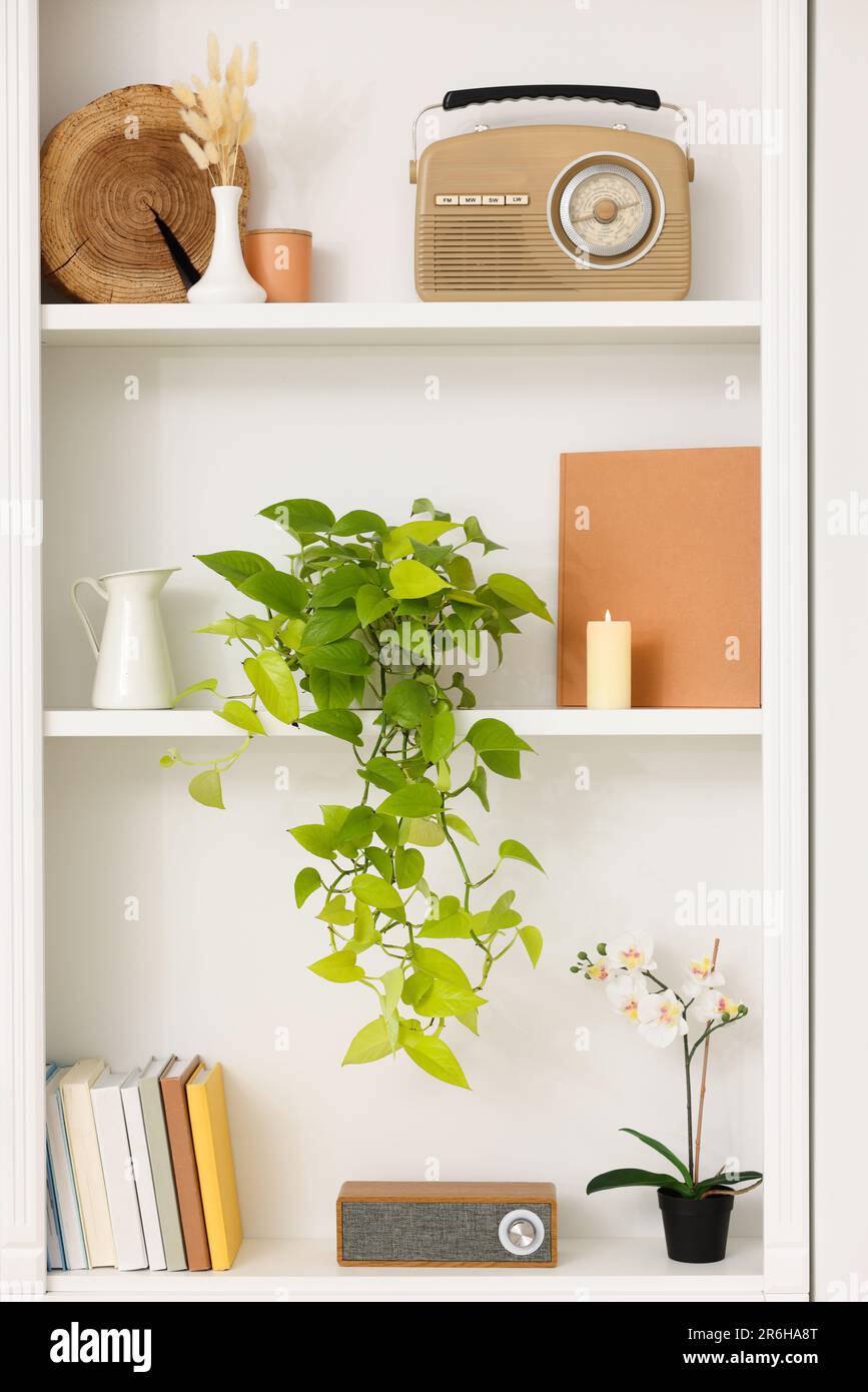 Spring atmosphere. Shelves with stylish accessories, potted plant and orchid indoors Stock Photo