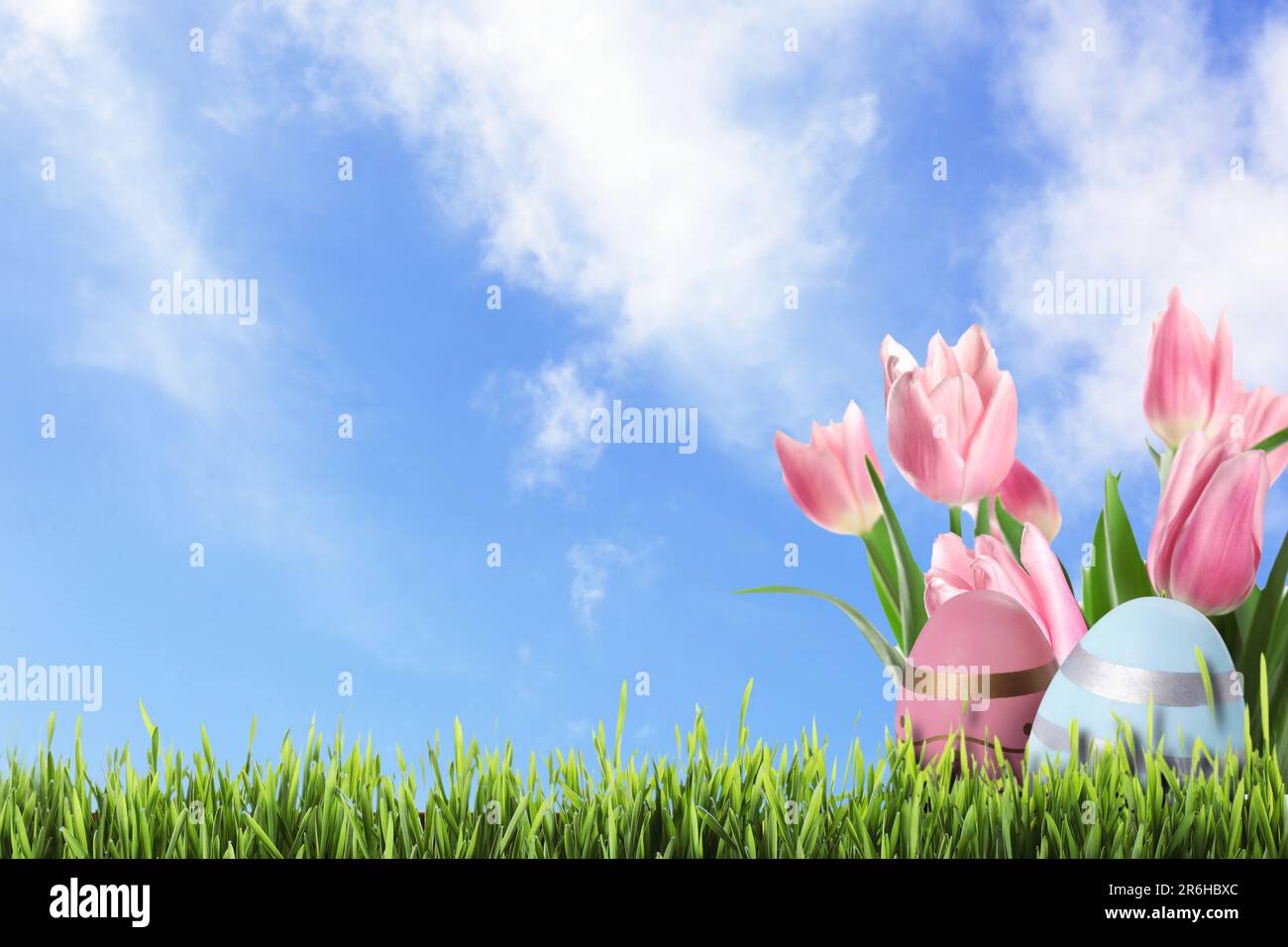 Easter eggs and tulips in green grass under blue sky, space for text ...
