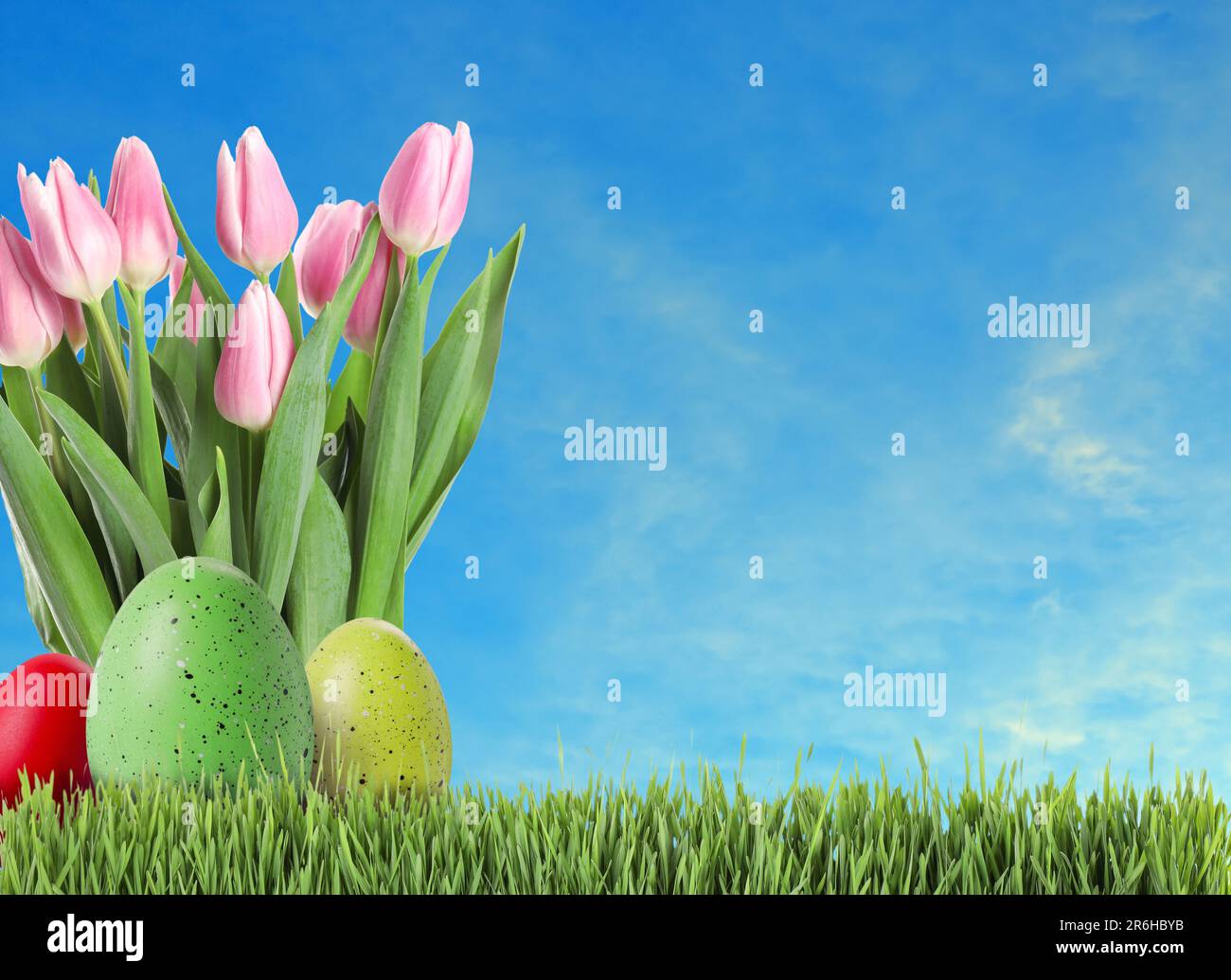 Easter eggs and tulips in green grass under blue sky, space for text ...