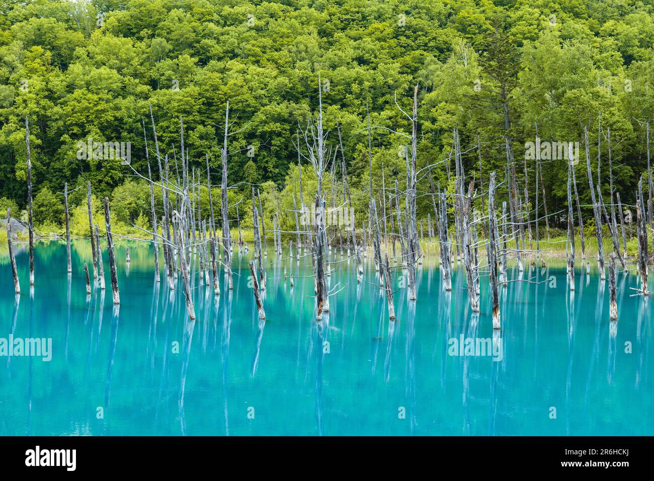 Scenery of Biei Blue Pond in Hokkaido, Japan Stock Photo
