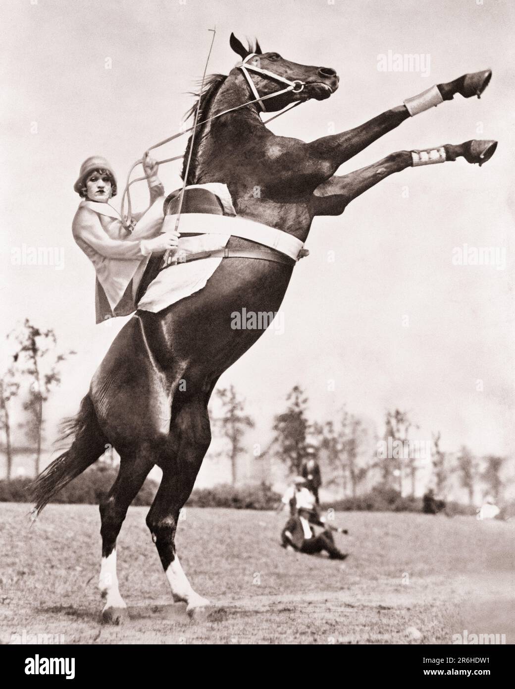 1920s WOMAN CIRCUS EQUESTRIAN LOOKING AT CAMERA RIDING SIDESADDLE ON LARGE REARING HORSE - q73249 CPC001 HARS PHYSICAL FITNESS PERSONS INSPIRATION DANGER RISK PROFESSION TRANSPORTATION B&W EYE CONTACT PERFORMING ARTS SKILL OCCUPATION SKILLS MAMMALS REARING DANGEROUS PERFORMER STRENGTH CAREERS EXCITEMENT LOW ANGLE POWERFUL RISKY AUTHORITY ENTERTAINER HAZARDOUS OCCUPATIONS PERIL ACTORS CIRCUS ACT JEOPARDY SIDESADDLE ENTERTAINERS MAMMAL MID-ADULT MID-ADULT WOMAN PERFORMERS BLACK AND WHITE CAUCASIAN ETHNICITY EQUESTRIAN OLD FASHIONED Stock Photo