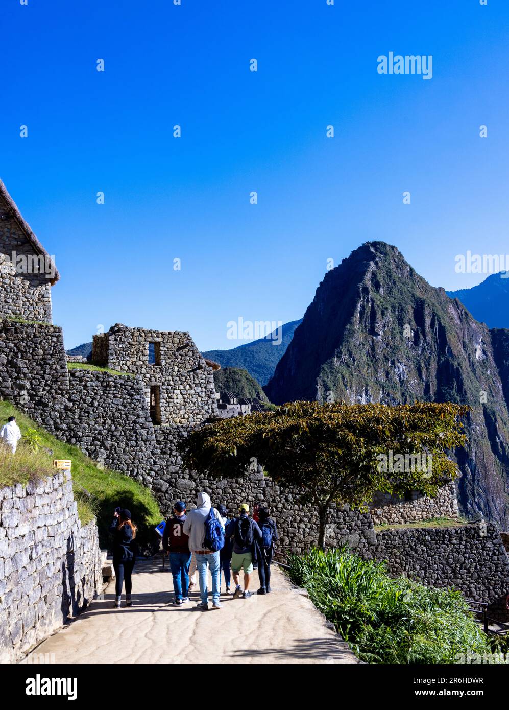 Inca ruins of Machu Picchu, Peru, South America Stock Photo