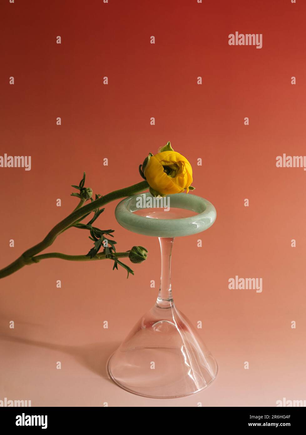 Delicate glass slender stem hi-res stock photography and images - Alamy
