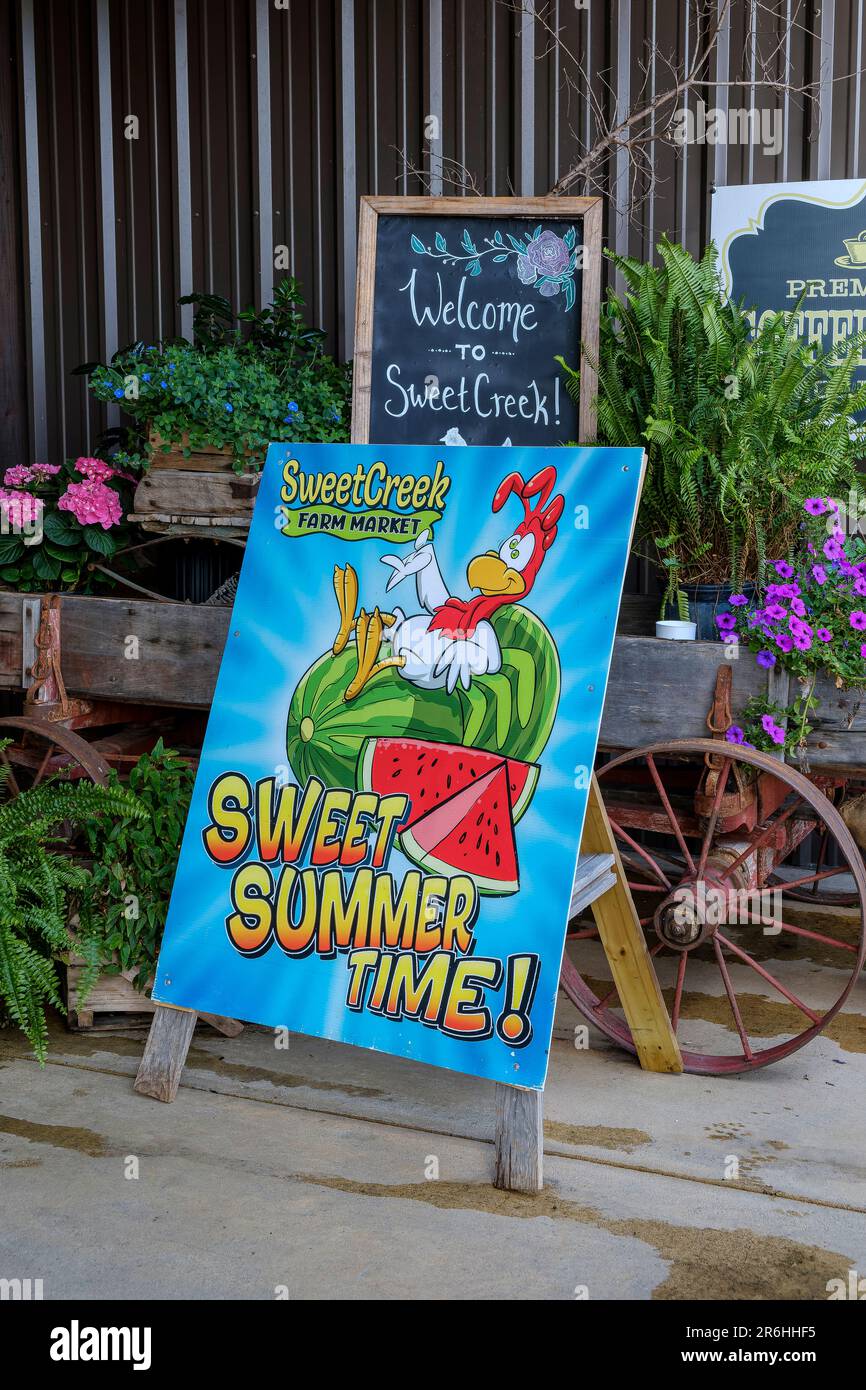 Sweet summer time sign advertising for the farm market at Sweet Creek showing a cartoon rooster in a broken watermelon a summer favorite in Alabama. Stock Photo