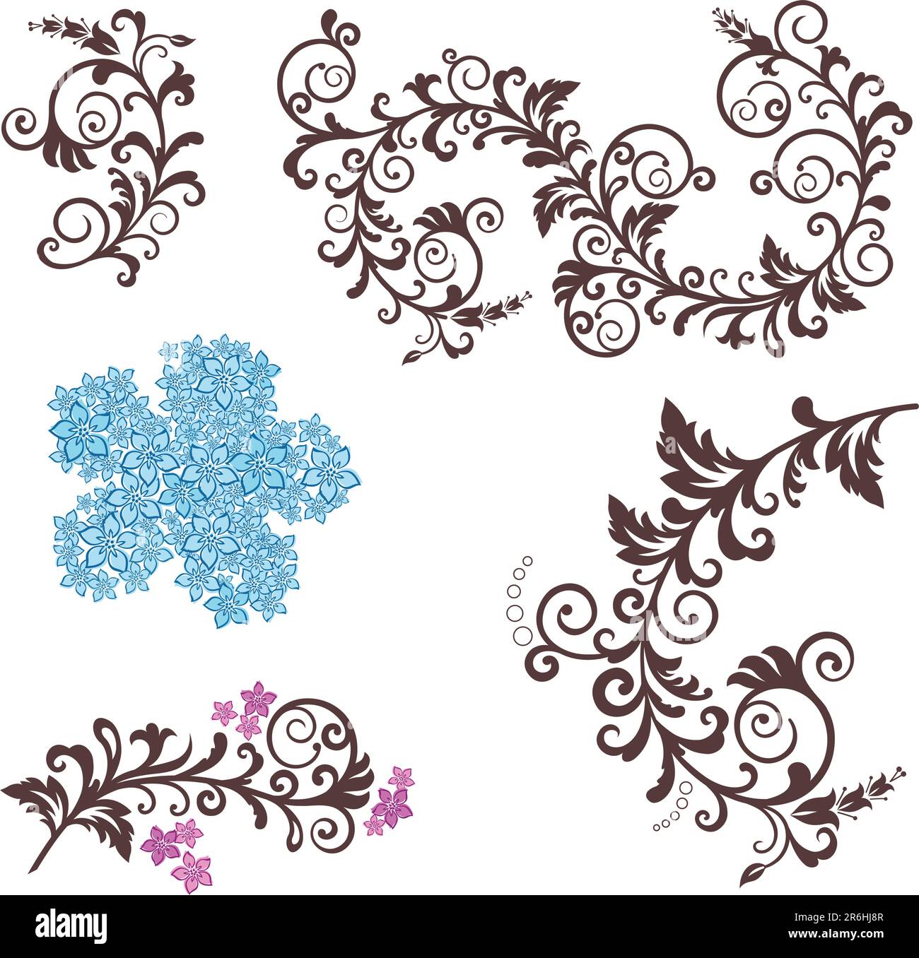 Beautiful floral design elements. This image is a vector illustration ...