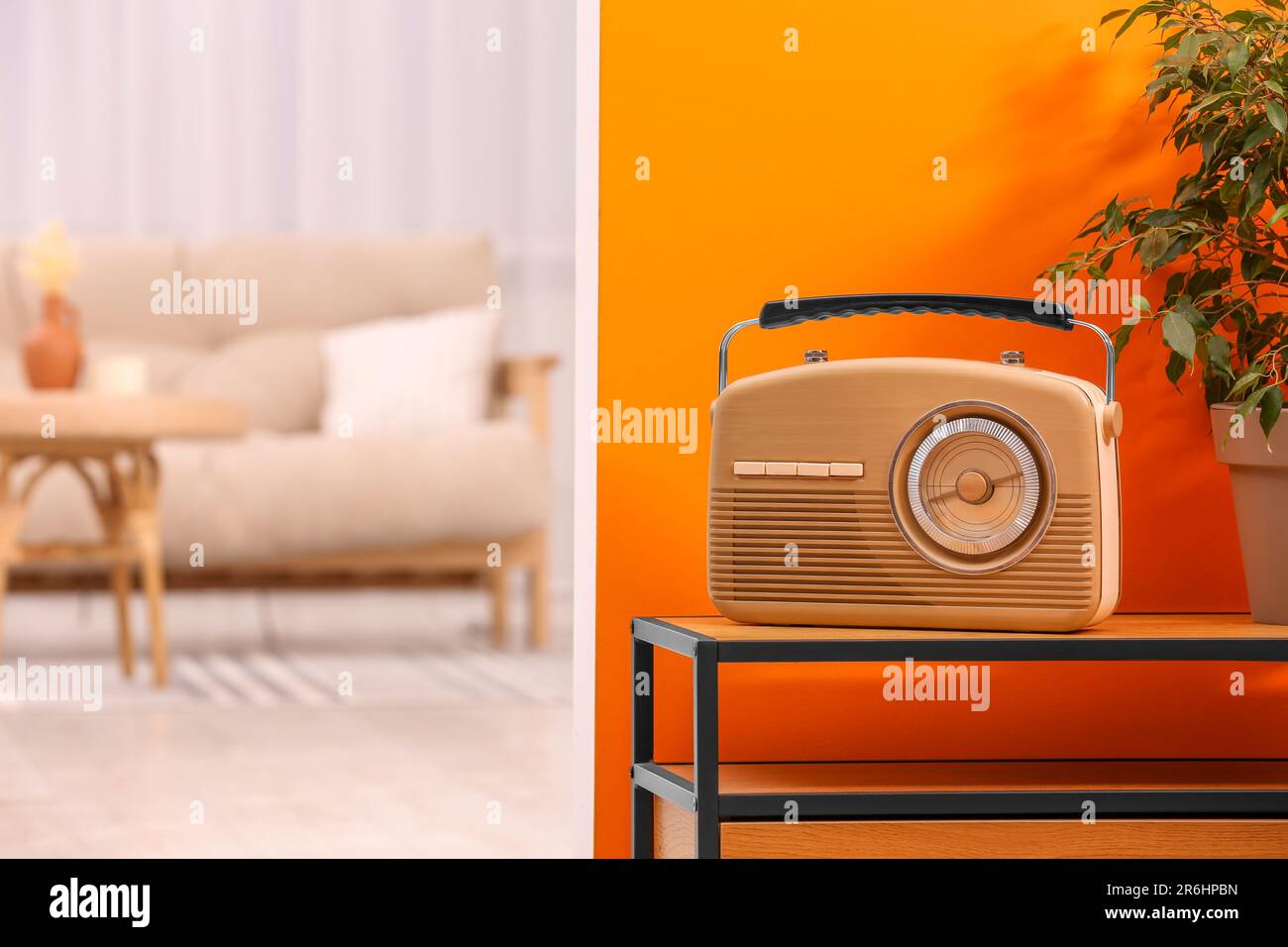 Retro radio receiver and houseplant on console table in stylish hallway ...