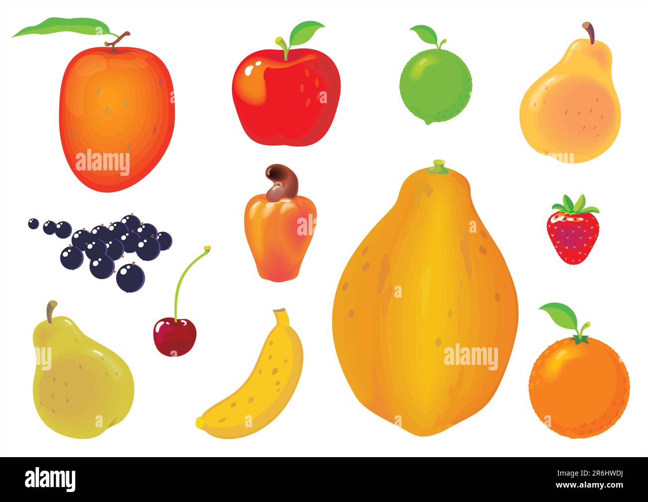 Twelve types of fruits isolated on white. No gradient vector. Very easy to customize colors and to create compositions. Stock Vector