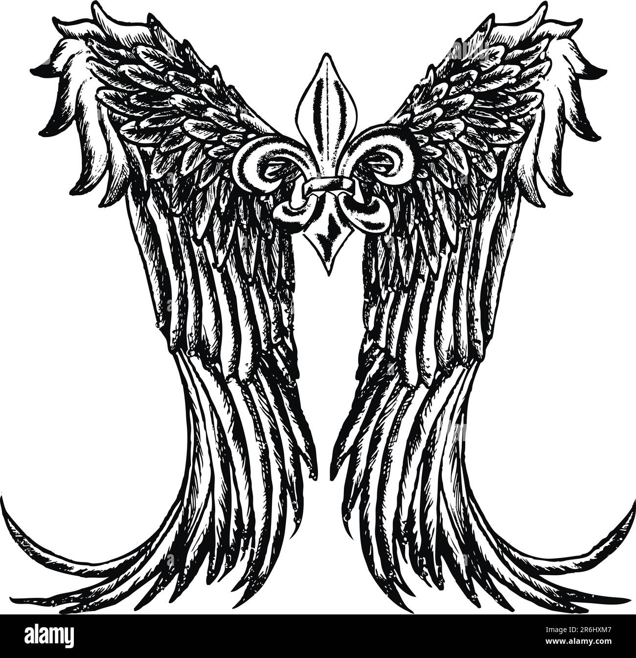 vintage shield with wing Stock Vector Image & Art - Alamy