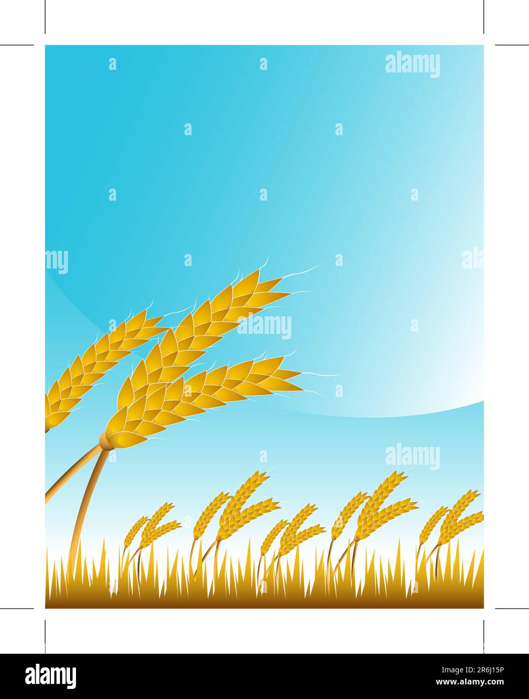 An image of a wheat field. Stock Vector