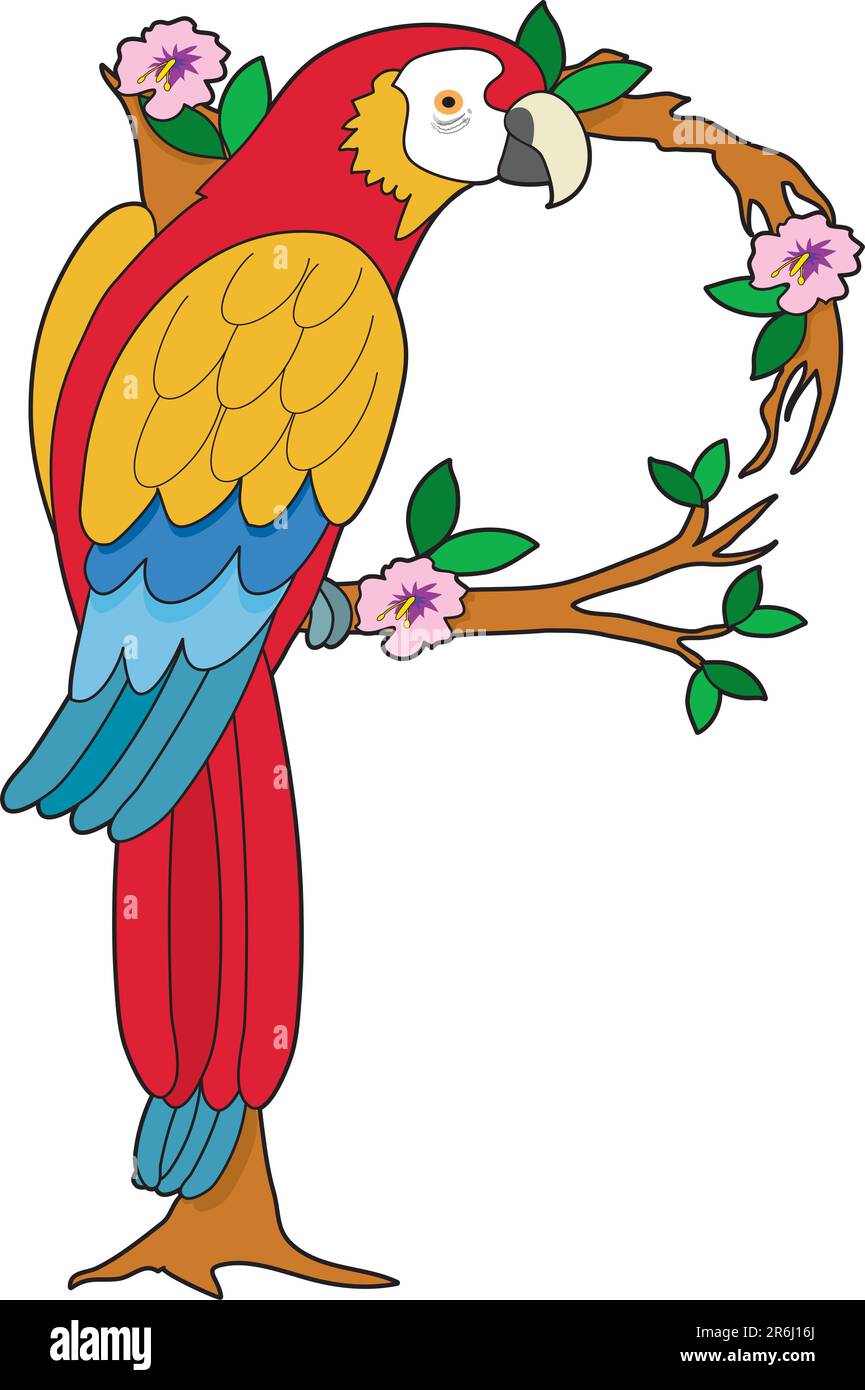 Parrot like beak Stock Vector Images - Alamy