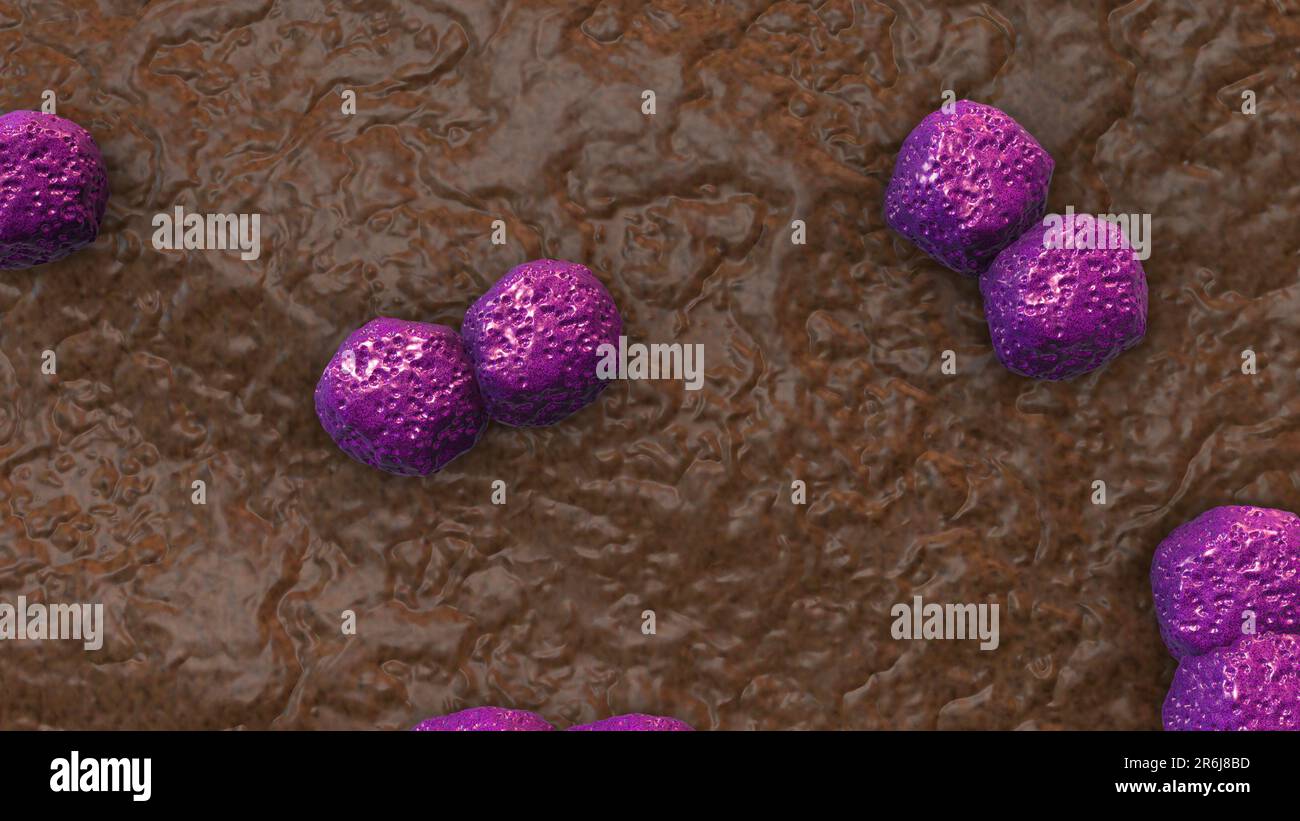 Hiv cells microscope hi-res stock photography and images - Alamy