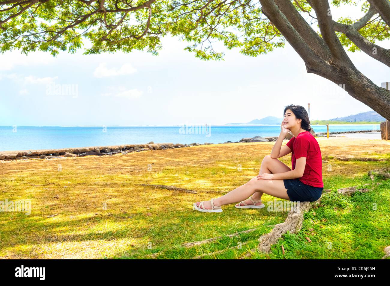 Young woman resting in shade of large canopy tree in Hawaii, with ocean horizon in background Stock Photo