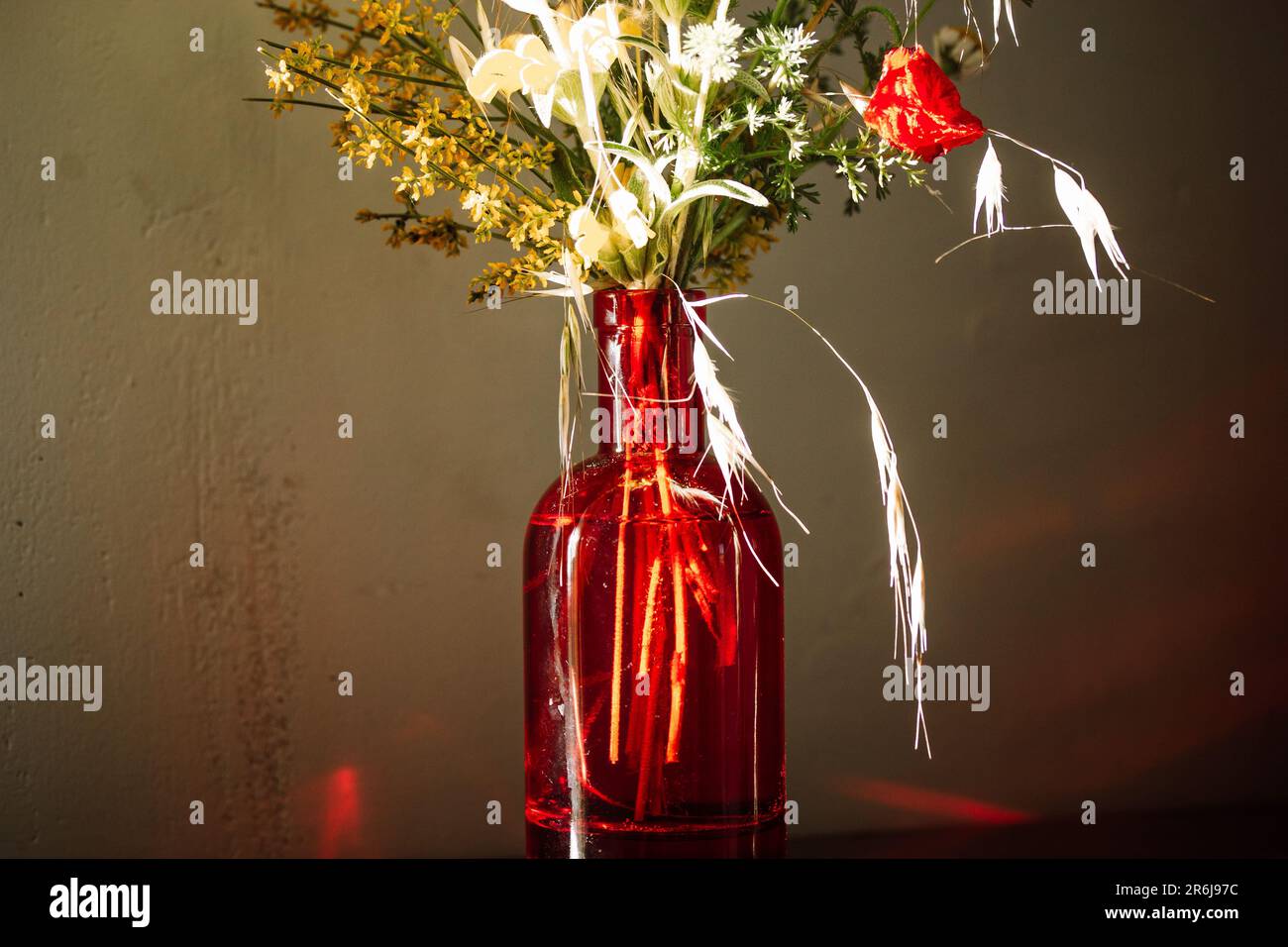 Bouquet of wildflowers and grasses in a bright red clear glass vase. Modern decor for rural home. Beautiful floral arrangement. A gift for Mother's Da Stock Photo