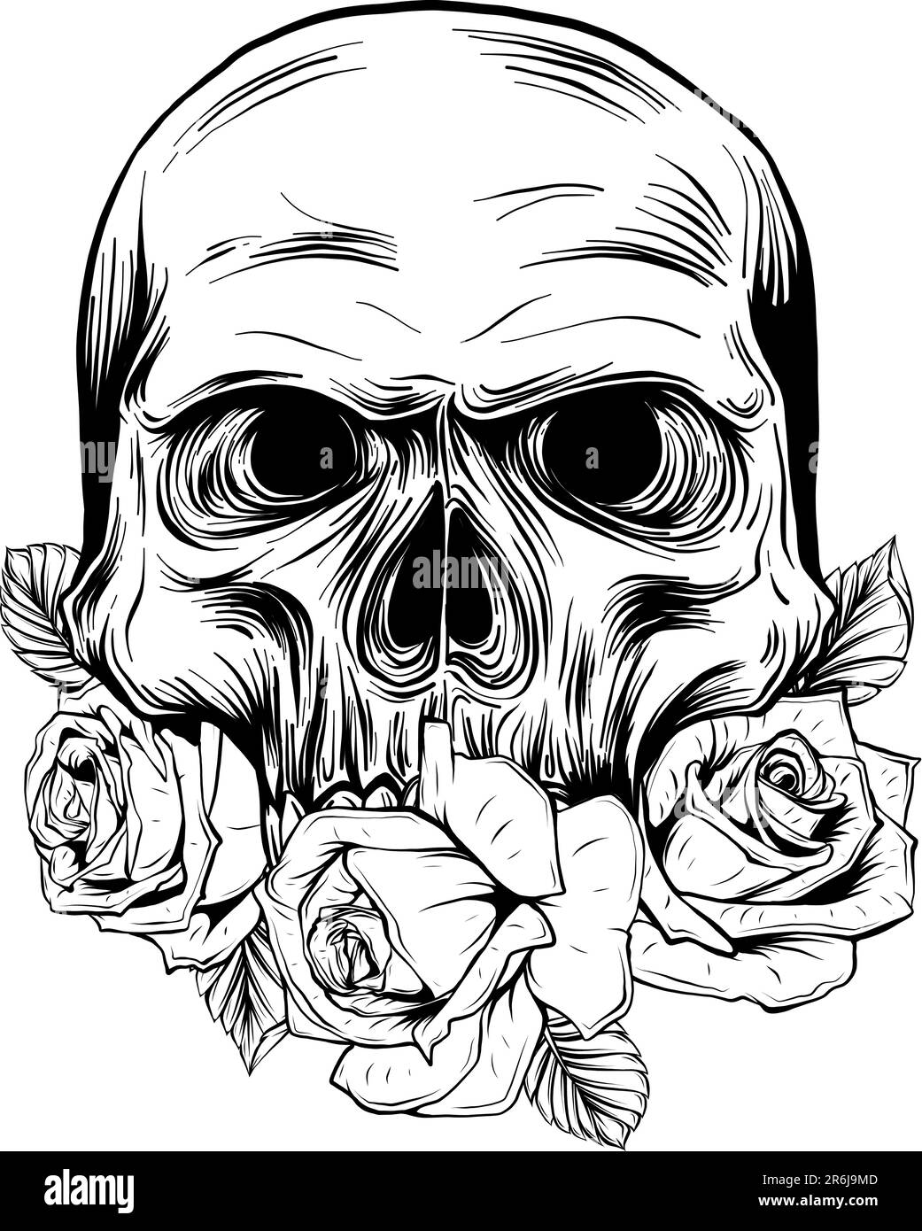 vector illustration of monochrome Vintage human skull with rose flowers ...