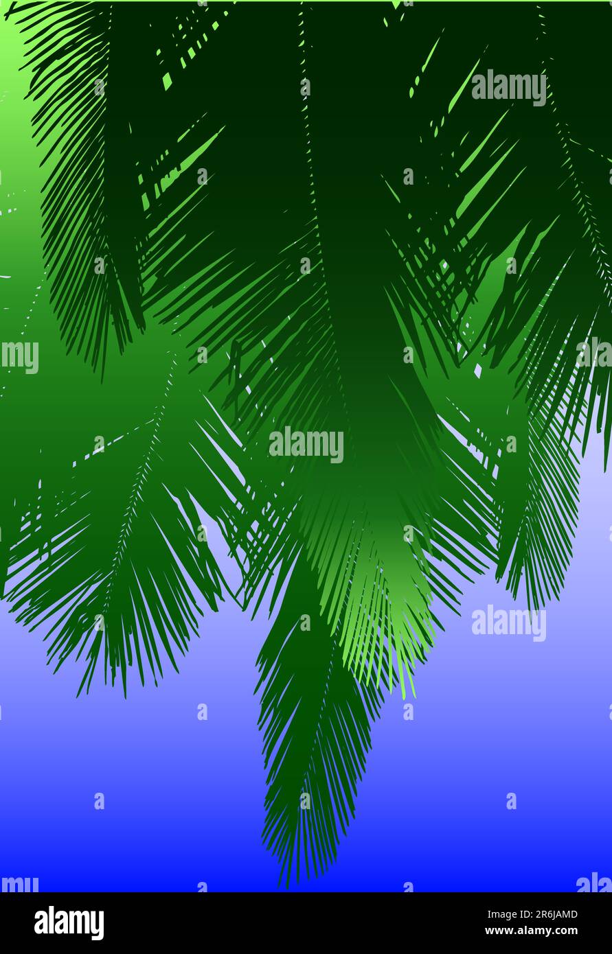 Vector design of hanging coconut palm fronds Stock Vector