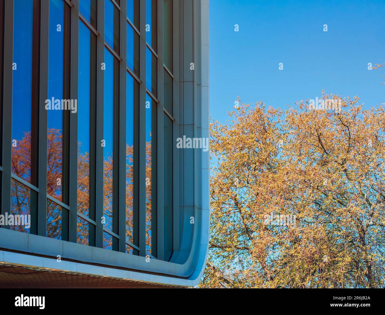 Reflection of tree in a steel and glass building Stock Photo