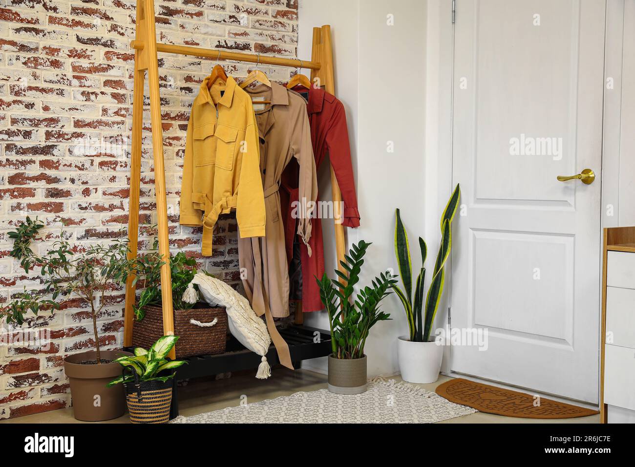 Interior of hall with rack, clothes and houseplants Stock Photo - Alamy