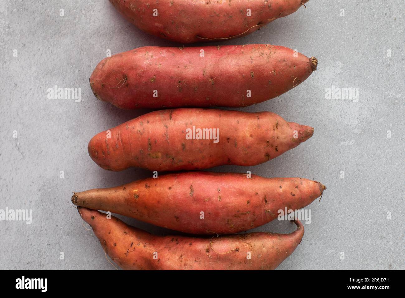 Raw sweet potatoes on a grey background. Orange kumara, yam. Healthy