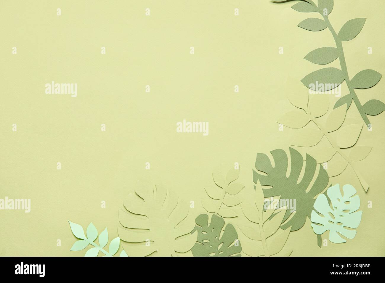 Frame made of different tropical leaves on pale green background Stock ...
