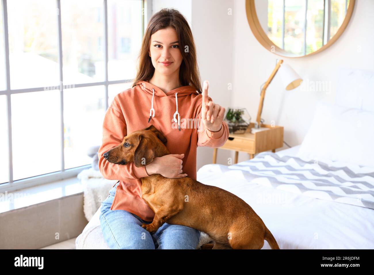 Young woman brushing teeth of her dachshund dog in bedroom Stock Photo