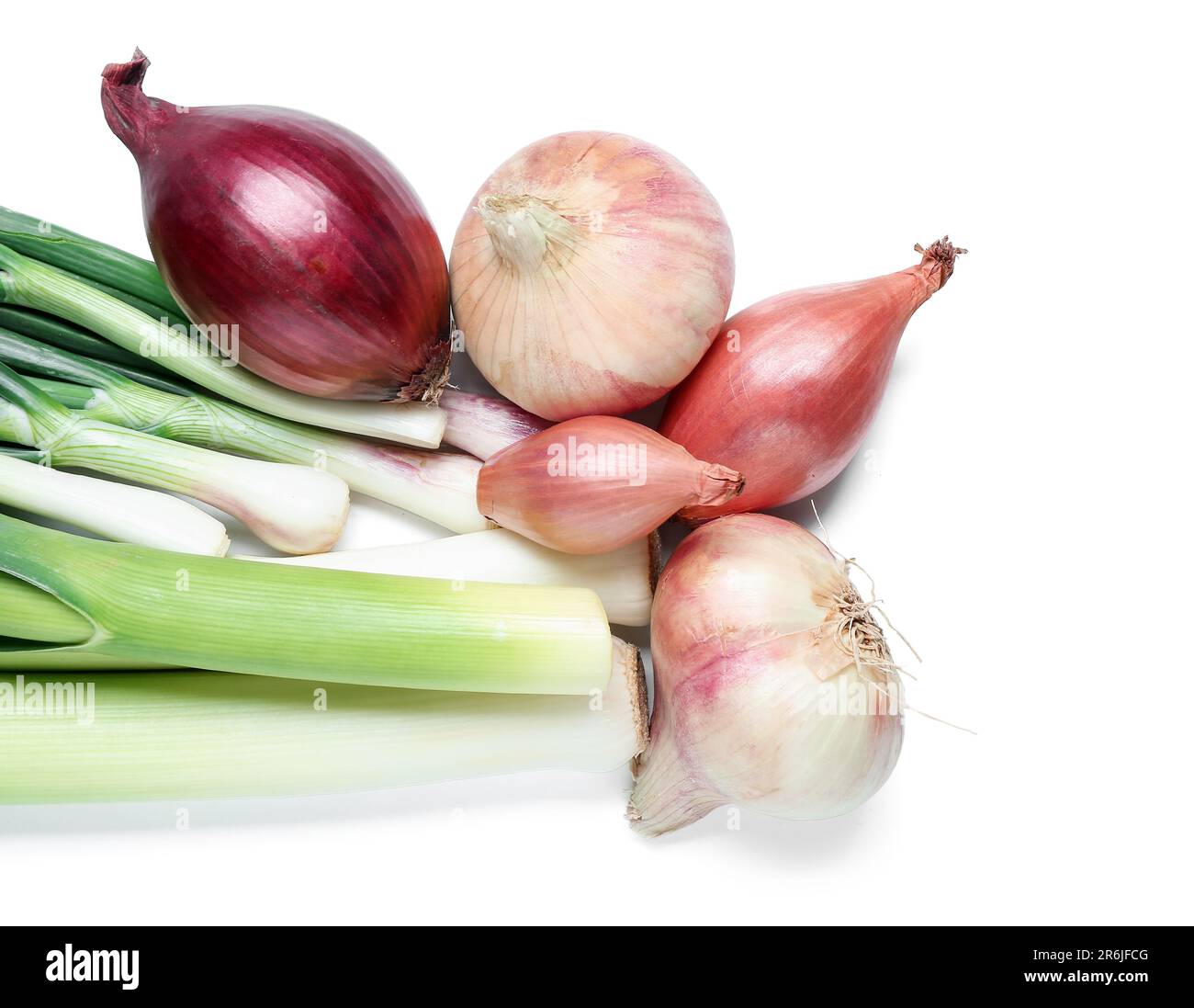 Different kinds of onion with garlic isolated on white background Stock