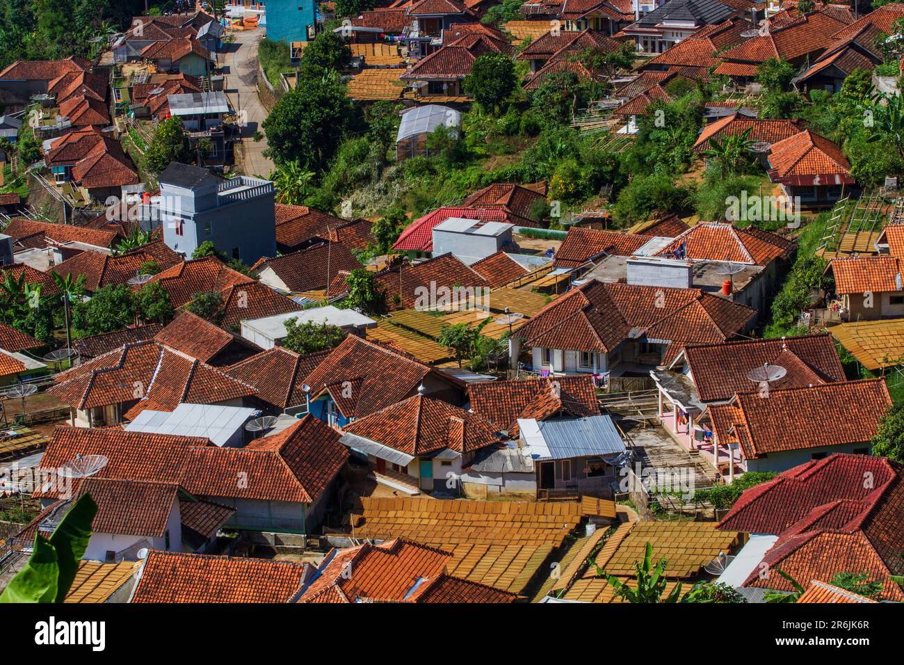 Sumedang, West Java, Indonesia. 10th June, 2023. Trays of tobacco