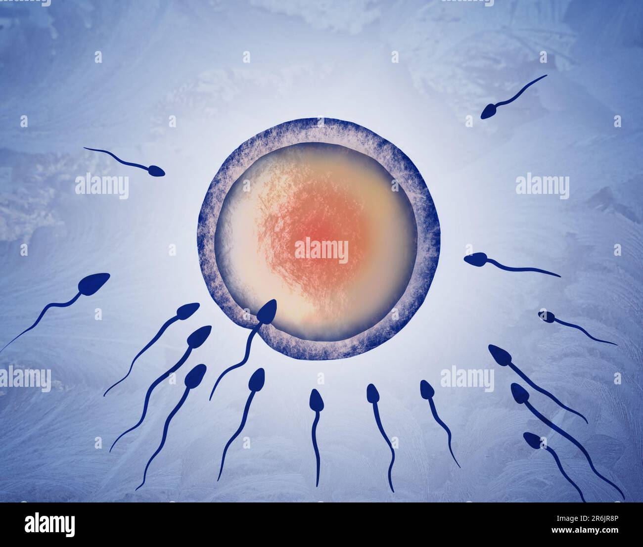 Cryopreservation of genetic material. Sperm cells and ovum on blue background, frost effect Stock Photo