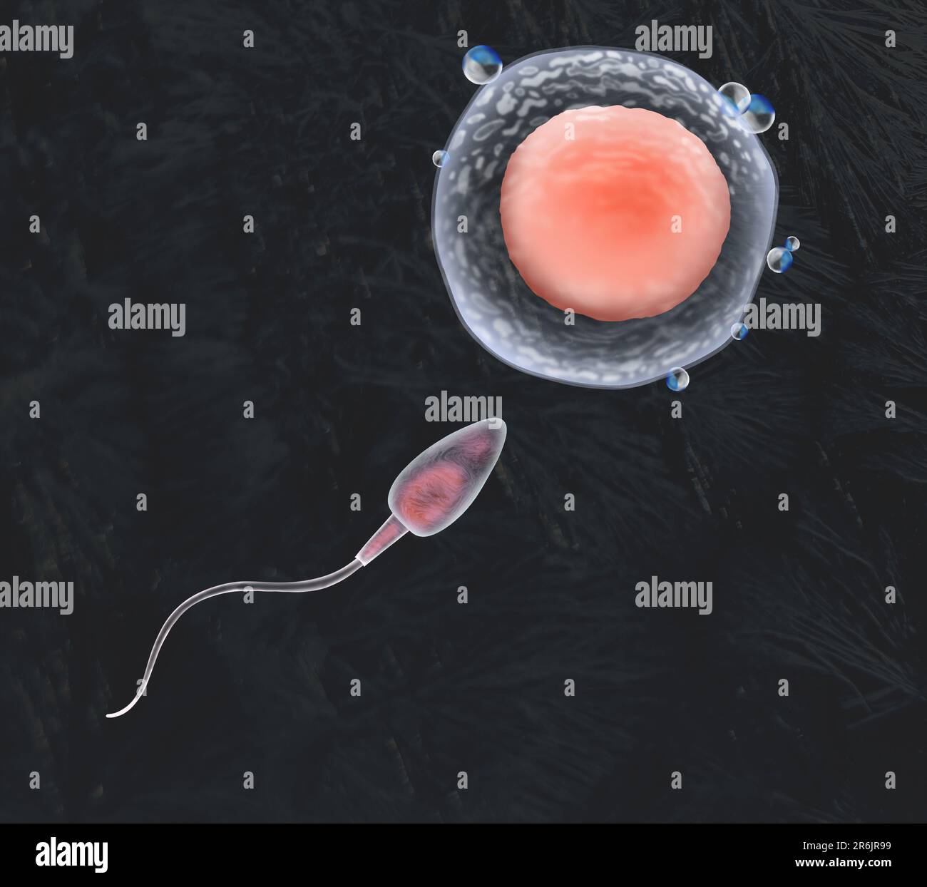 Cryopreservation of genetic material. Sperm cell and ovum on black background, frost effect Stock Photo